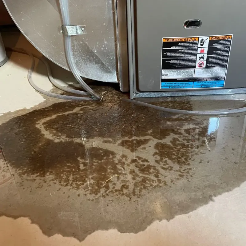 Pipe Burst and Leak Restoration in Fallston, MD