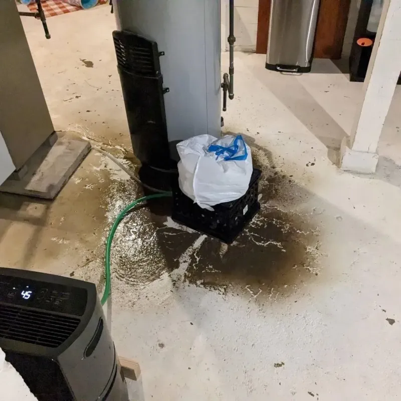 Sewage Backup Cleanup Service in Fallston, MD